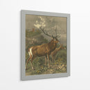 Pequeños Ciervos Rojos - Friedrich Specht | Cuadro decorativo de Canvas Lab