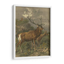Pequeños Ciervos Rojos - Friedrich Specht | Cuadro decorativo de Canvas Lab