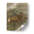 Pequeños Ciervos Rojos - Friedrich Specht | Cuadro decorativo de Canvas Lab