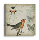 Cartouche Y Alas I - Jennifer Goldberger | Cuadro decorativo de Canvas Lab