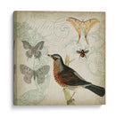 Cartouche Y Alas Ii - Jennifer Goldberger | Cuadro decorativo de Canvas Lab