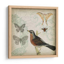 Cartouche Y Alas Ii - Jennifer Goldberger | Cuadro decorativo de Canvas Lab