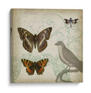 Cartouche Y Alas Iii - Jennifer Goldberger | Cuadro decorativo de Canvas Lab