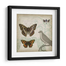 Cartouche Y Alas Iii - Jennifer Goldberger | Cuadro decorativo de Canvas Lab