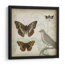 Cartouche Y Alas Iii - Jennifer Goldberger | Cuadro decorativo de Canvas Lab