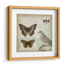 Cartouche Y Alas Iii - Jennifer Goldberger | Cuadro decorativo de Canvas Lab