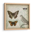 Cartouche Y Alas Iii - Jennifer Goldberger | Cuadro decorativo de Canvas Lab