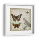 Cartouche Y Alas Iii - Jennifer Goldberger | Cuadro decorativo de Canvas Lab