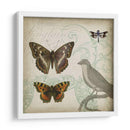 Cartouche Y Alas Iii - Jennifer Goldberger | Cuadro decorativo de Canvas Lab