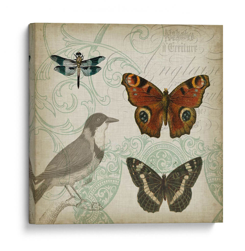 Cartouche Y Alas Iv - Jennifer Goldberger | Cuadro decorativo de Canvas Lab
