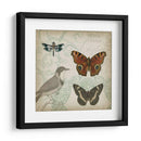 Cartouche Y Alas Iv - Jennifer Goldberger | Cuadro decorativo de Canvas Lab