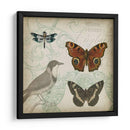 Cartouche Y Alas Iv - Jennifer Goldberger | Cuadro decorativo de Canvas Lab