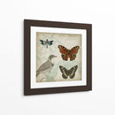 Cartouche Y Alas Iv - Jennifer Goldberger | Cuadro decorativo de Canvas Lab