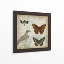 Cartouche Y Alas Iv - Jennifer Goldberger | Cuadro decorativo de Canvas Lab