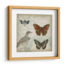 Cartouche Y Alas Iv - Jennifer Goldberger | Cuadro decorativo de Canvas Lab