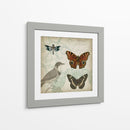 Cartouche Y Alas Iv - Jennifer Goldberger | Cuadro decorativo de Canvas Lab