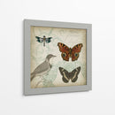 Cartouche Y Alas Iv - Jennifer Goldberger | Cuadro decorativo de Canvas Lab