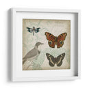 Cartouche Y Alas Iv - Jennifer Goldberger | Cuadro decorativo de Canvas Lab