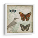 Cartouche Y Alas Iv - Jennifer Goldberger | Cuadro decorativo de Canvas Lab