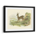Petite Row Deer - W.H. Lizars | Cuadro decorativo de Canvas Lab