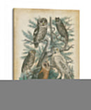 Natures Reuniendo Iii - John Wiek | Cuadro decorativo de Canvas Lab