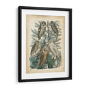 Natures Reuniendo Iii - John Wiek | Cuadro decorativo de Canvas Lab