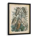 Natures Reuniendo Iii - John Wiek | Cuadro decorativo de Canvas Lab