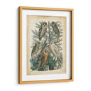 Natures Reuniendo Iii - John Wiek | Cuadro decorativo de Canvas Lab