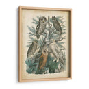 Natures Reuniendo Iii - John Wiek | Cuadro decorativo de Canvas Lab