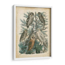 Natures Reuniendo Iii - John Wiek | Cuadro decorativo de Canvas Lab