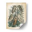 Natures Reuniendo Iii - John Wiek | Cuadro decorativo de Canvas Lab