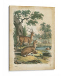 Natures Reuniendo Iv - John Wiek | Cuadro decorativo de Canvas Lab