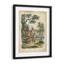 Natures Reuniendo Iv - John Wiek | Cuadro decorativo de Canvas Lab