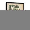 Natures Reuniendo Iv - John Wiek | Cuadro decorativo de Canvas Lab