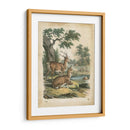 Natures Reuniendo Iv - John Wiek | Cuadro decorativo de Canvas Lab