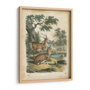 Natures Reuniendo Iv - John Wiek | Cuadro decorativo de Canvas Lab