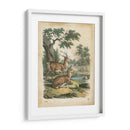 Natures Reuniendo Iv - John Wiek | Cuadro decorativo de Canvas Lab