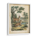 Natures Reuniendo Iv - John Wiek | Cuadro decorativo de Canvas Lab