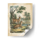 Natures Reuniendo Iv - John Wiek | Cuadro decorativo de Canvas Lab