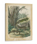 Natures Reuniendo V - John Wiek | Cuadro decorativo de Canvas Lab