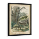 Natures Reuniendo V - John Wiek | Cuadro decorativo de Canvas Lab