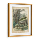 Natures Reuniendo V - John Wiek | Cuadro decorativo de Canvas Lab