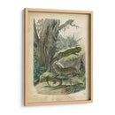 Natures Reuniendo V - John Wiek | Cuadro decorativo de Canvas Lab