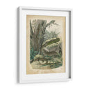 Natures Reuniendo V - John Wiek | Cuadro decorativo de Canvas Lab