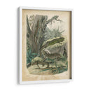 Natures Reuniendo V - John Wiek | Cuadro decorativo de Canvas Lab