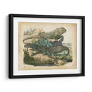 Natures Reuniendo Vi - John Wiek | Cuadro decorativo de Canvas Lab