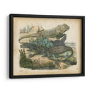 Natures Reuniendo Vi - John Wiek | Cuadro decorativo de Canvas Lab