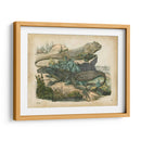 Natures Reuniendo Vi - John Wiek | Cuadro decorativo de Canvas Lab