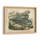 Natures Reuniendo Vi - John Wiek | Cuadro decorativo de Canvas Lab