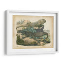 Natures Reuniendo Vi - John Wiek | Cuadro decorativo de Canvas Lab